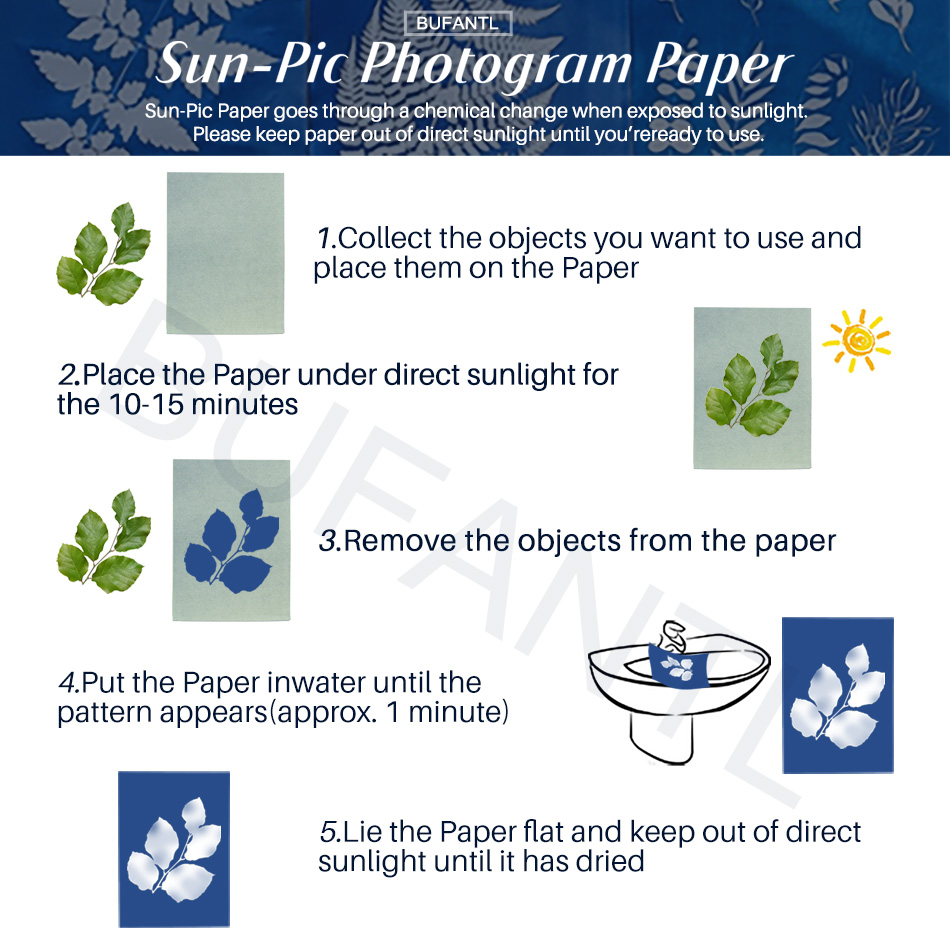 Cyanotype Paper 12 Sheets Refi - Photography Lighting Beginners ulasan dan harga