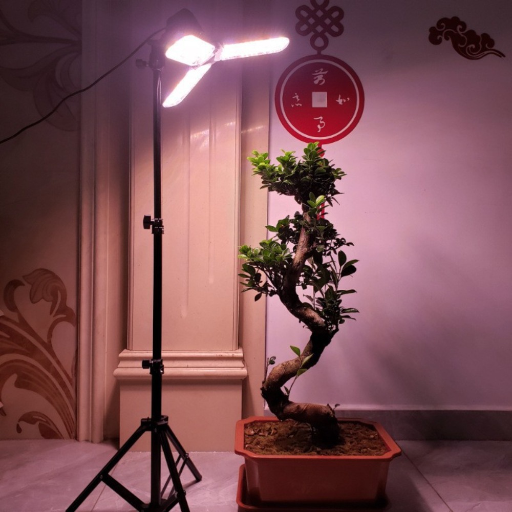 Light Bulb Stand 2M, E27 AC So - Photography Lighting With Umbrella ulasan dan harga